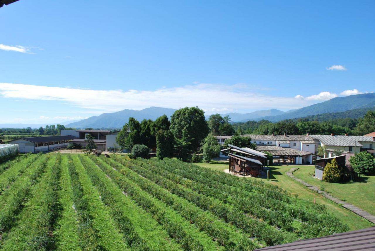 Agriturismo Il Frutto Permesso Bibiana Exterior photo